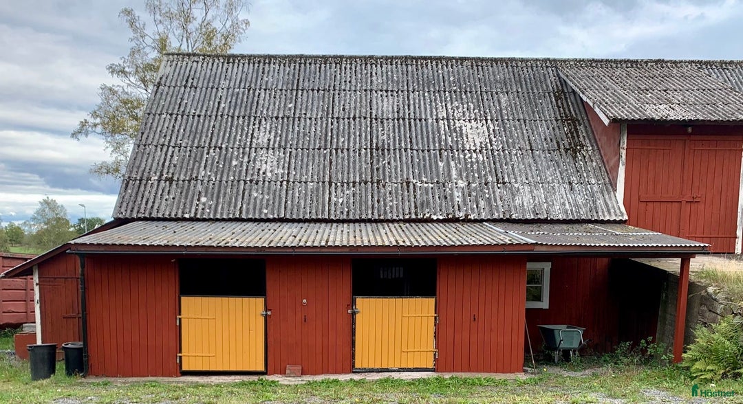  stallplats finnes: Lediga stallplatser i mysigt stall i Habo - Annons 5