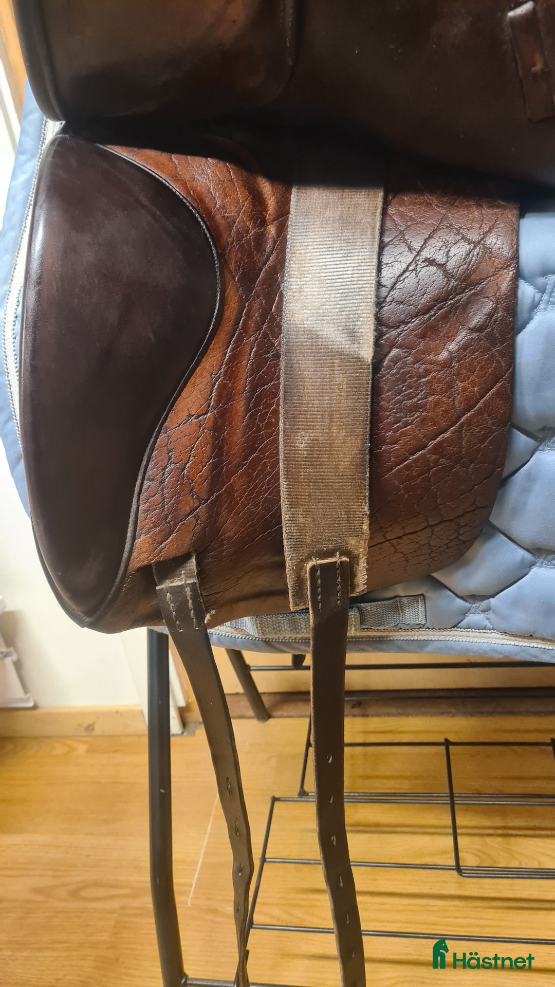 Sadlar hästutrustning till salu: Jaguar XKC i Hamneda - Annons 2