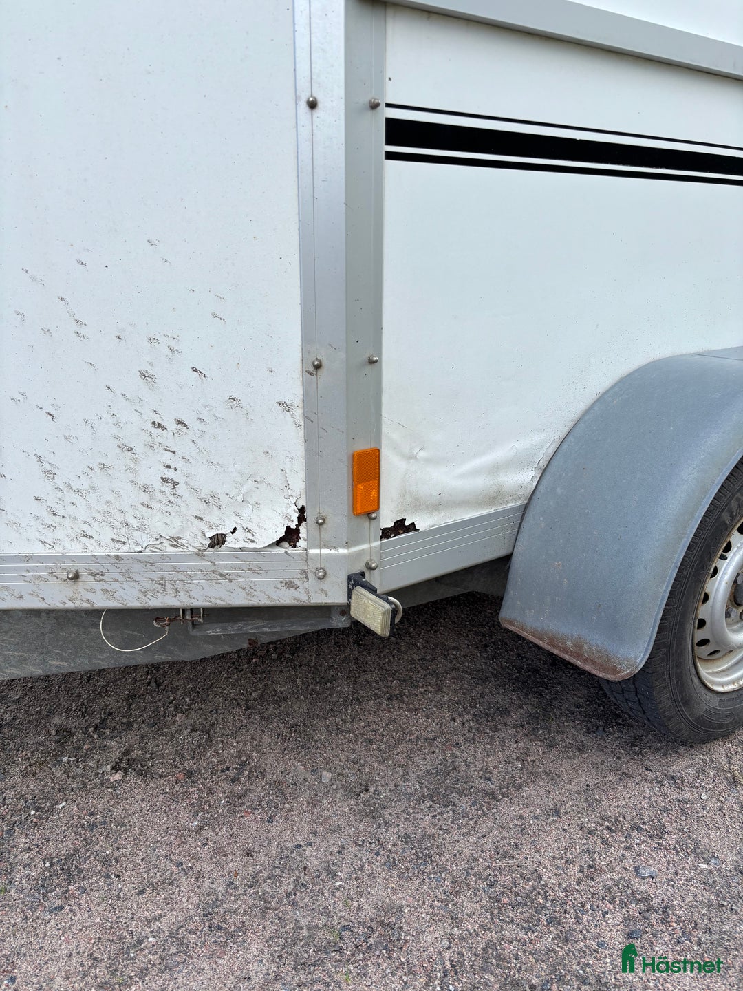 Hästtransporter  fordon & transport till salu: Boj 216 i Skeppshult - Annons 4