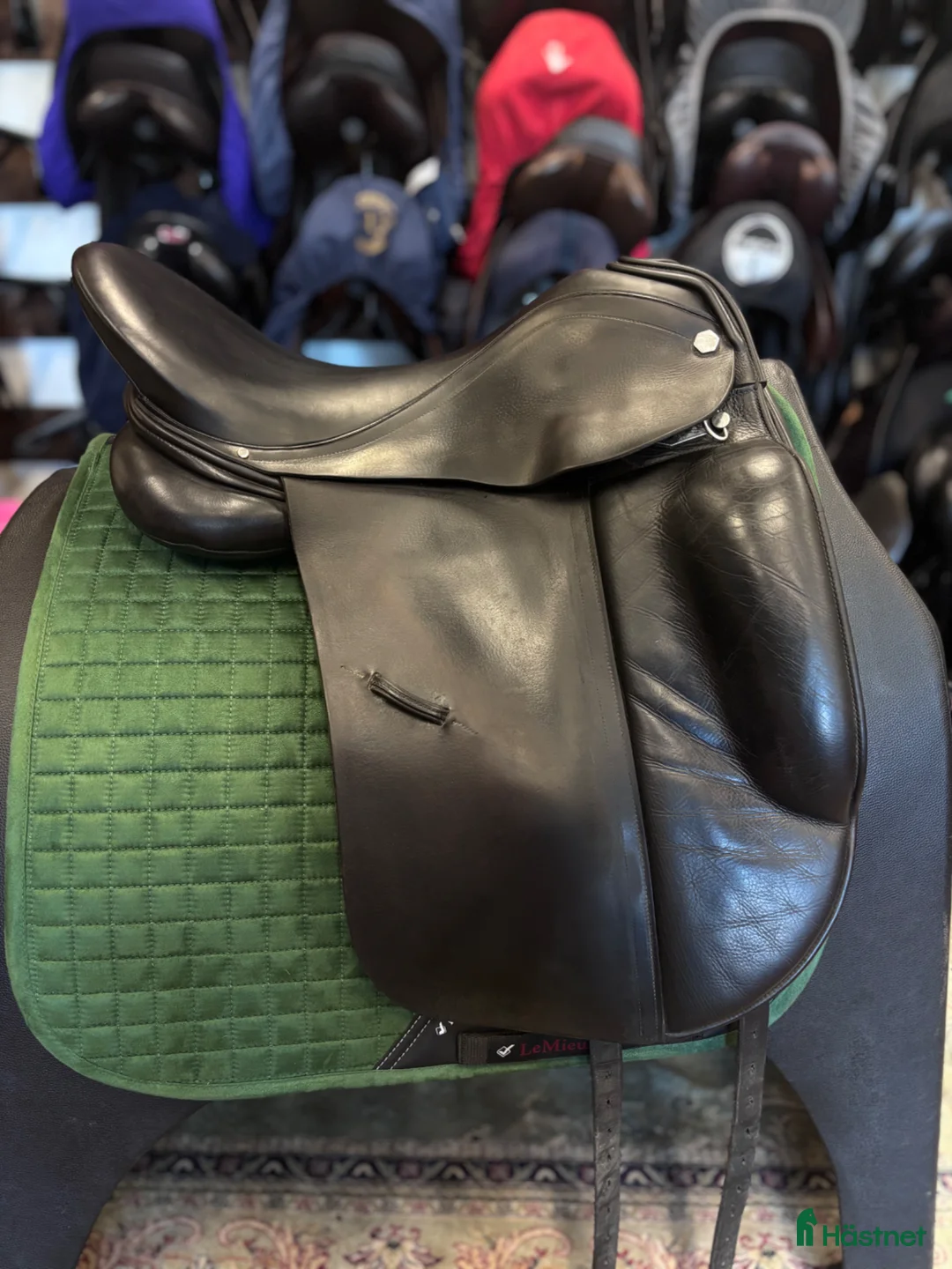 Sadlar hästutrustning till salu: Albion Platinum - Annons 2