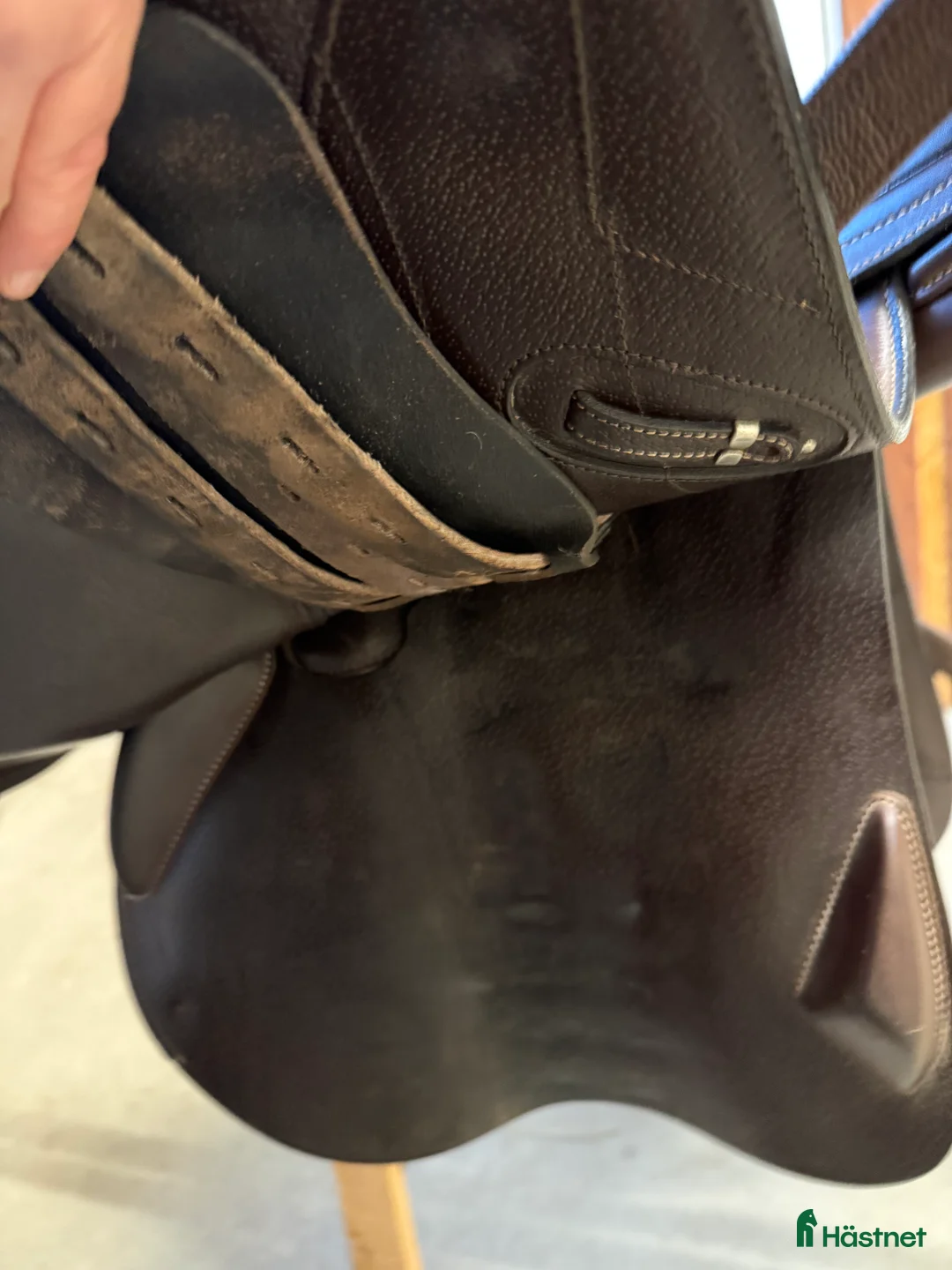 Sadlar hästutrustning till salu: Equipe EK Allegra ( SW)  i Vindeln - Annons 7