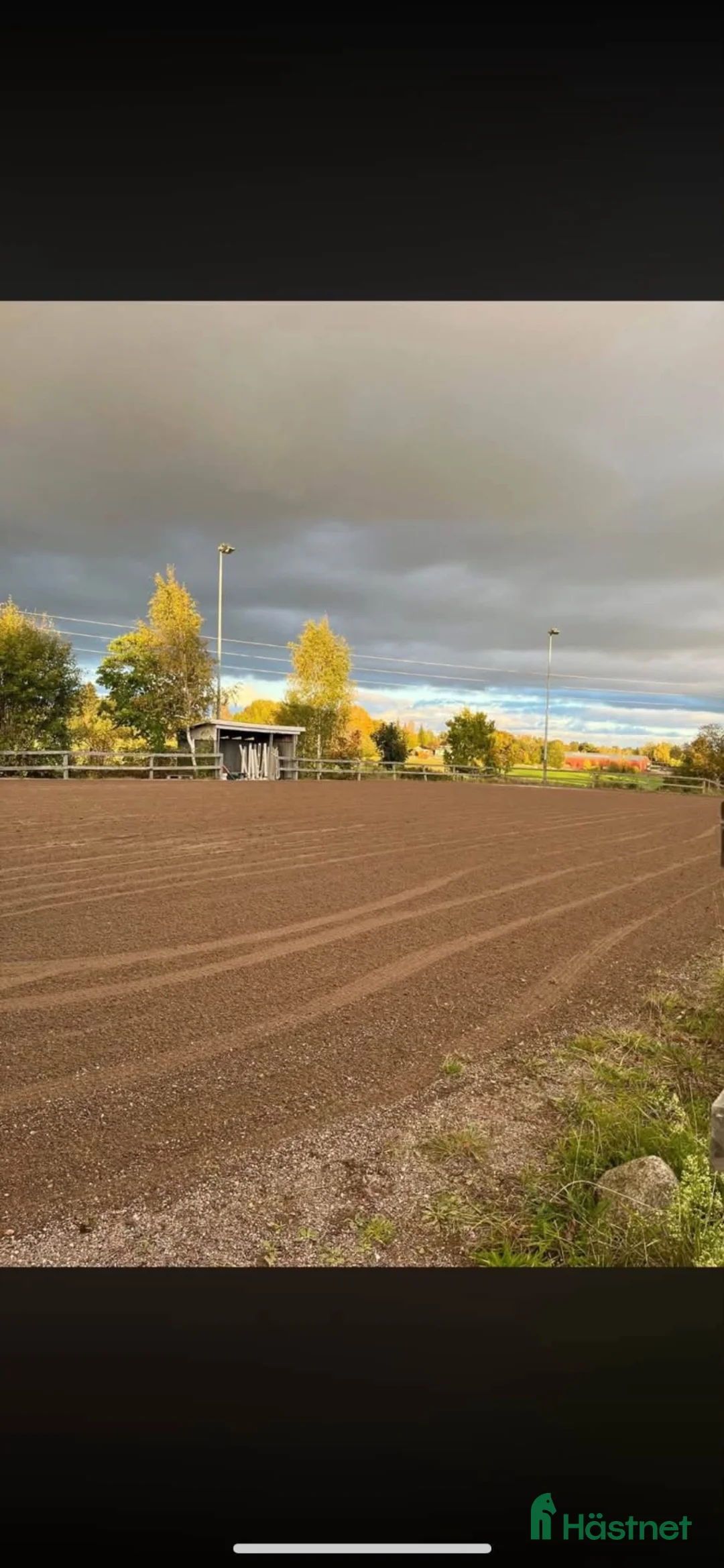  stallplats finnes: Platser lediga i mysigt litet stall  - Annons 4