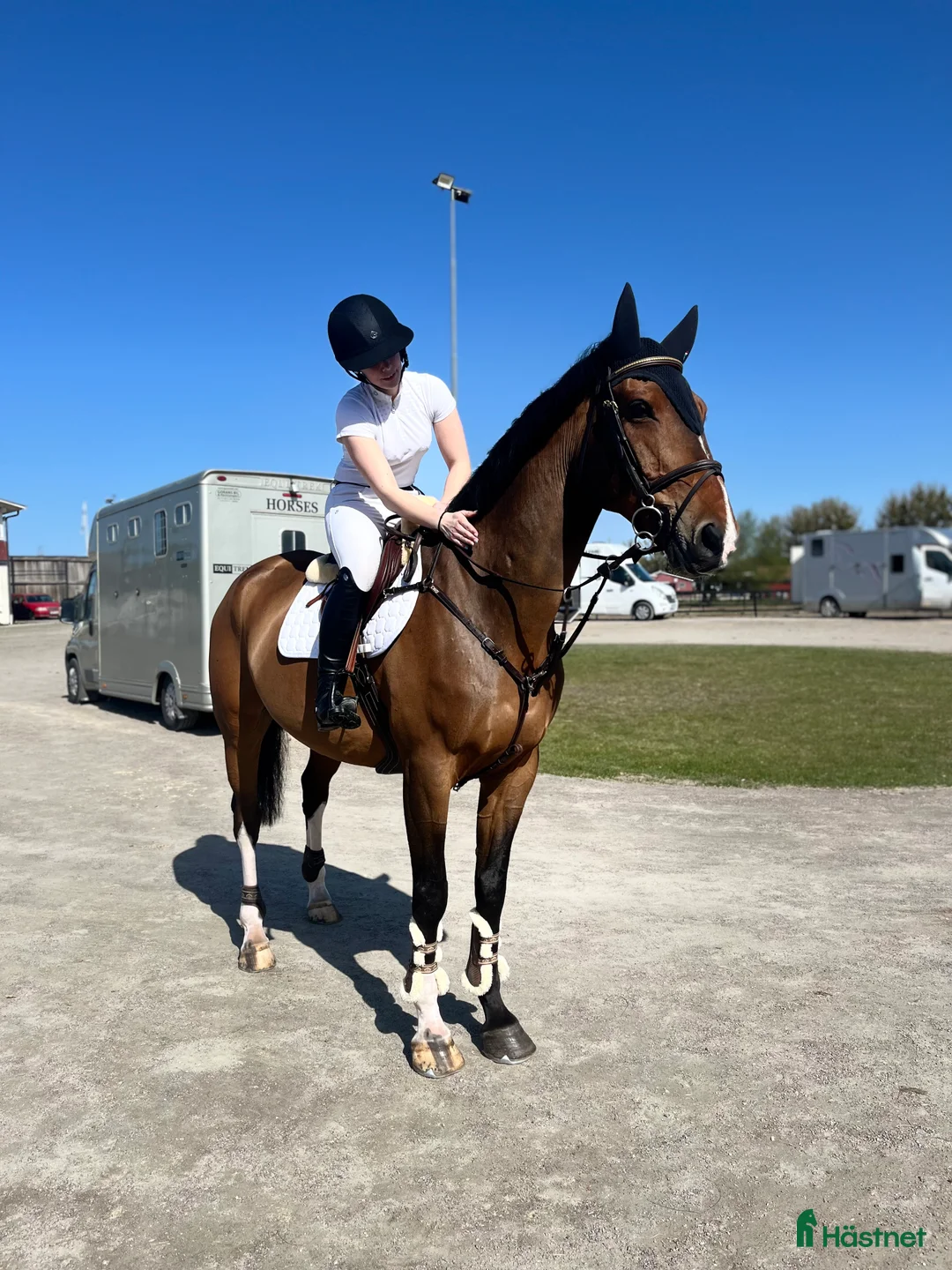  hästservice finnes: tillridning/hoppning/tävling hästar i Märsta - Annons 1