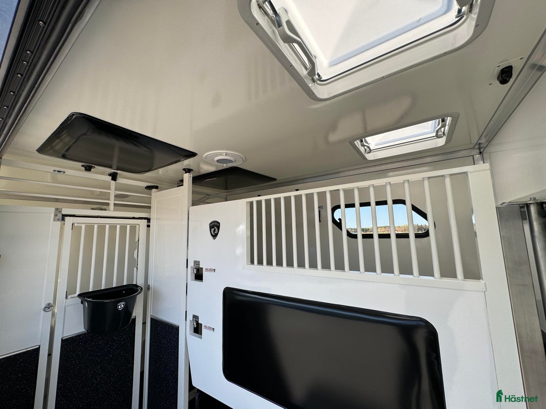 Hästlastbilar  fordon & transport till salu: PARAGAN EXCELSION 5XL STUTERI  i Köping - Annons 6