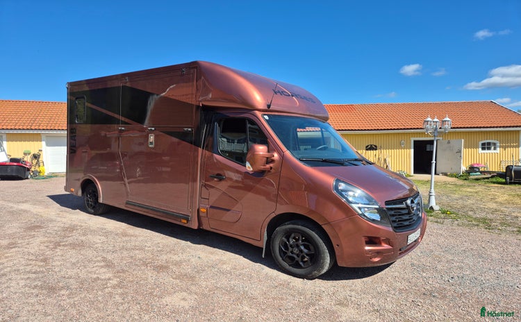 Hästlastbilar  fordon & transport till salu i Falun - Annons 6