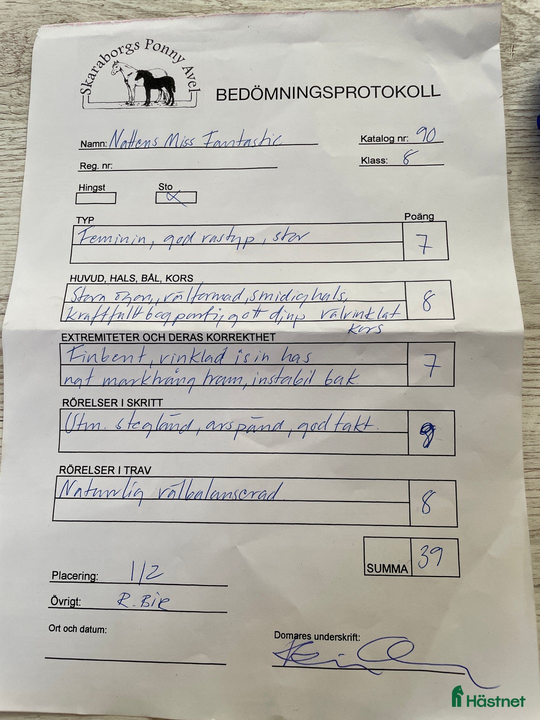 Allround hästar till salu: Vackert Welsh ponnysto  i Lyrestad - Annons 5