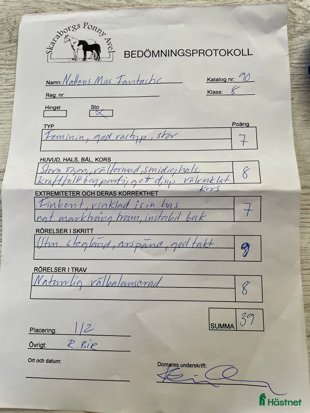 Allround hästar till salu: Vackert Welsh ponnysto  i Lyrestad - Annons 5