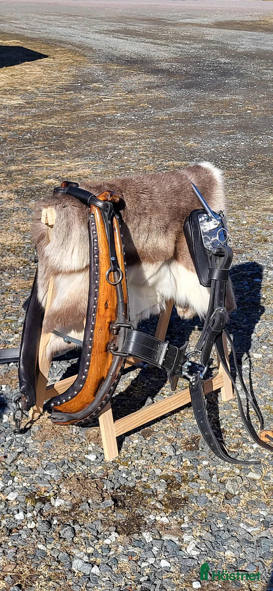 Körselar körning till salu: Ny sele. - Annons 1