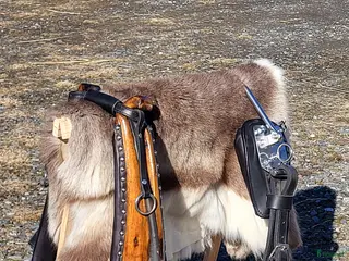 Körselar körning till salu: Ny sele. - Annons 6