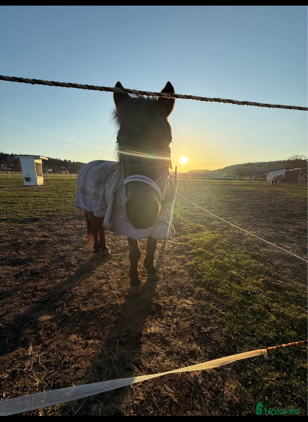  stallplats finnes: Stallplatser i Hällesåker med fina rid o vägar  i Lindome - Bild 7