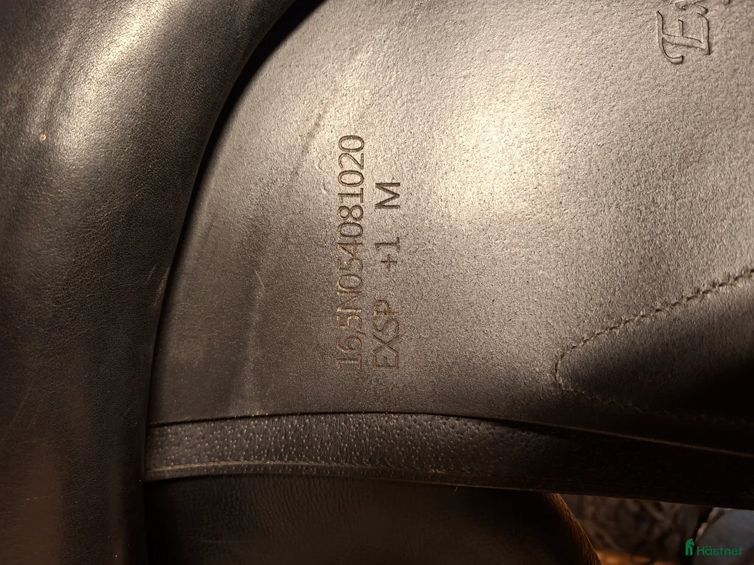 Sadlar hästutrustning till salu: Equipe Expression - Annons 6