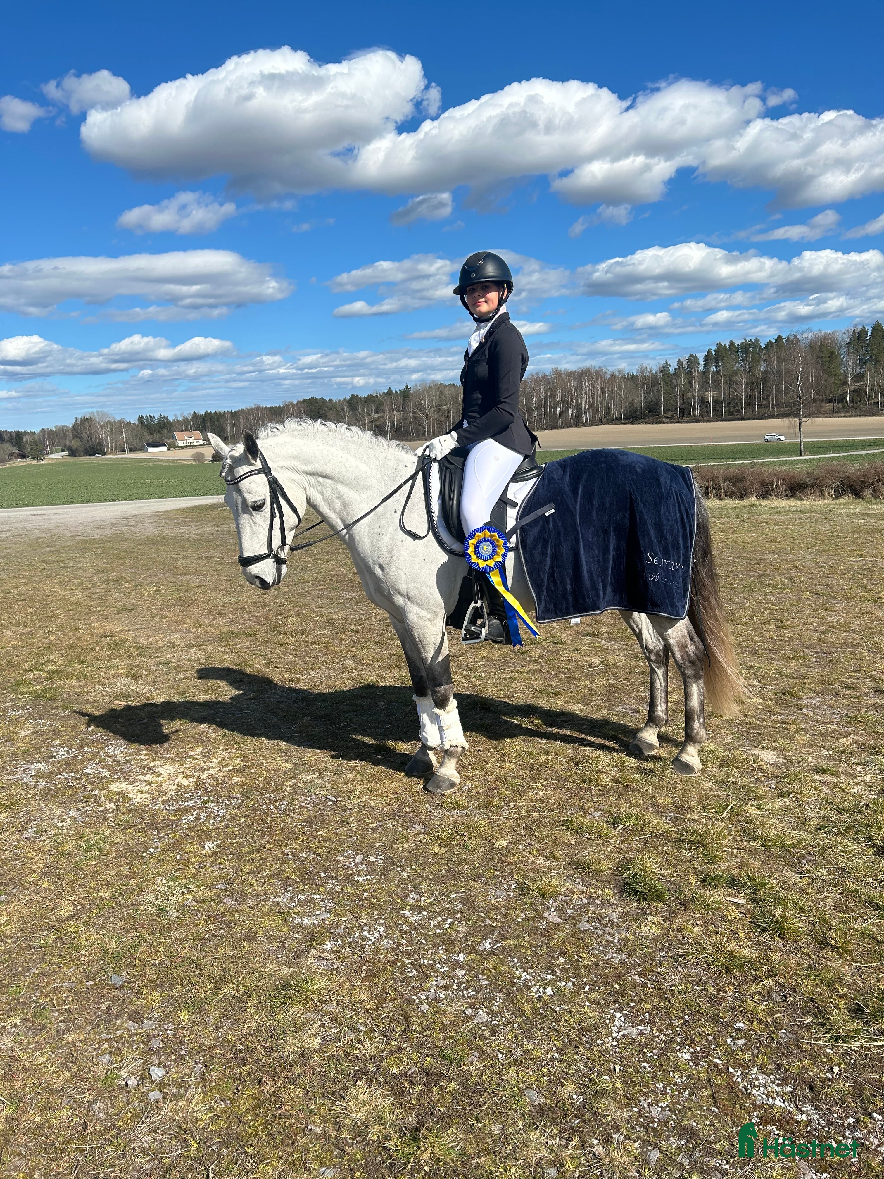  hästar Dressyrponny i Linghem - Annons 12