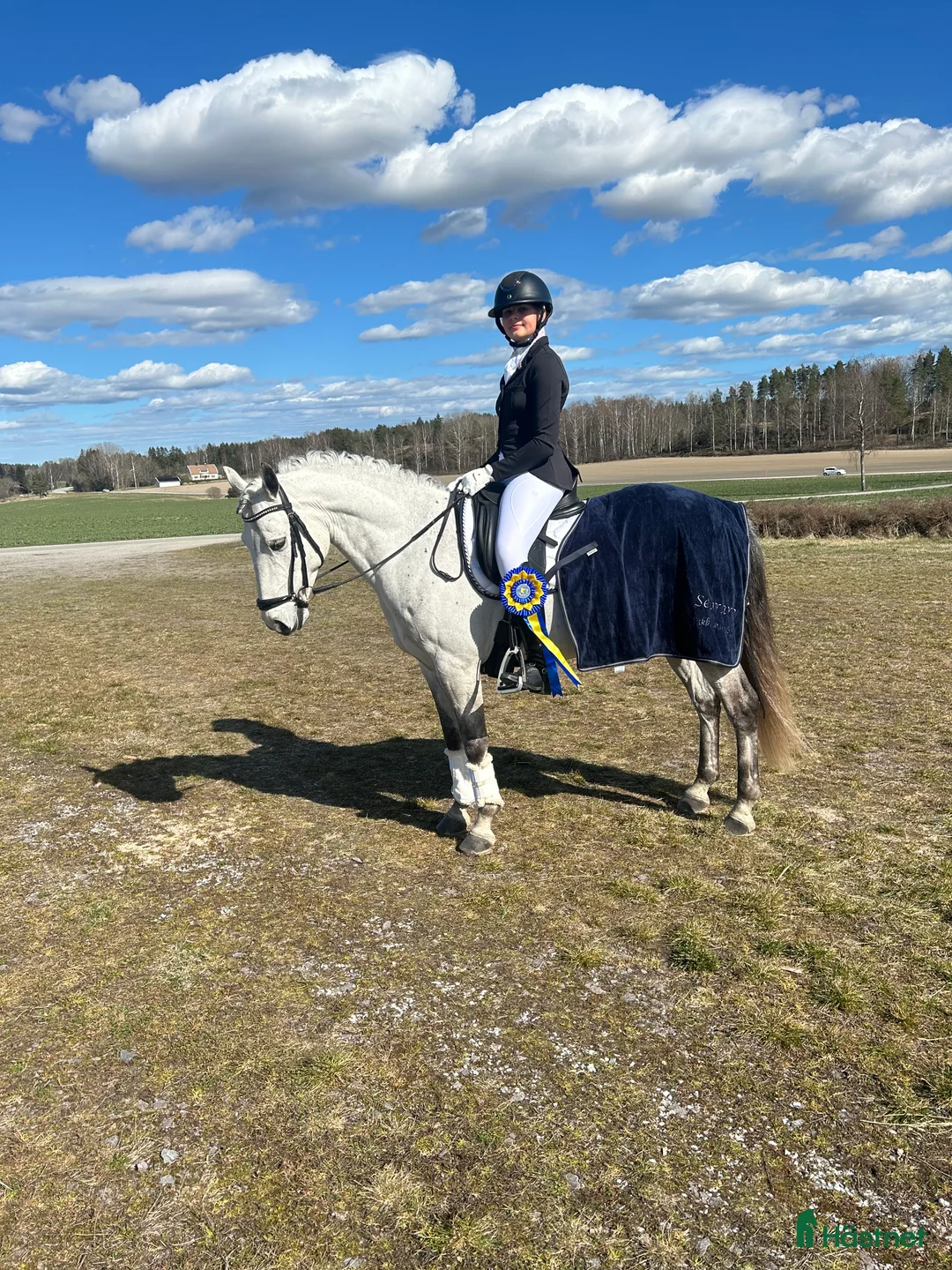 Dressyr hästar till salu: Dressyrponny - Annons 1