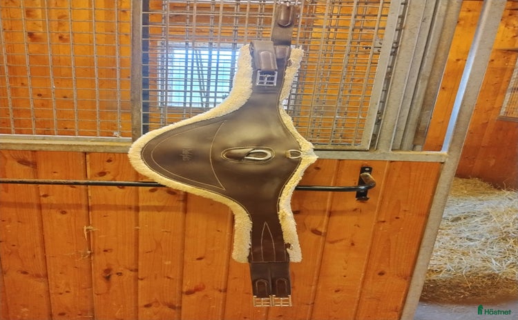 Sadeltillbehör hästutrustning till salu i Söderköping - Annons 18