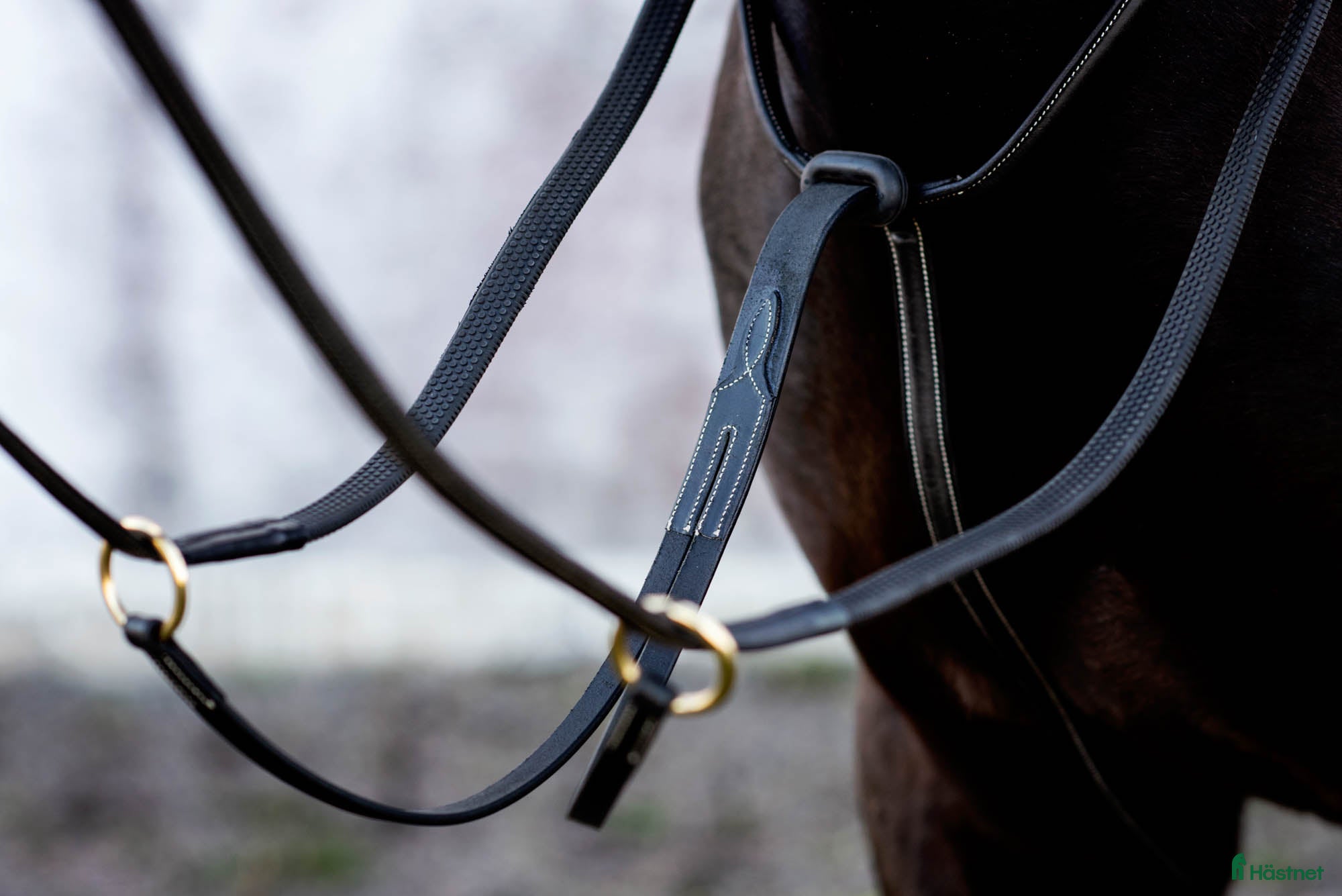 Övrig Hästutrustning hästutrustning till salu: Martingal Svart i Göteborg - Annons 5