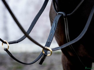 Övrig Hästutrustning hästutrustning till salu: Martingal Svart i Göteborg - Annons 2