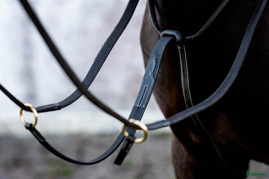 Övrig Hästutrustning hästutrustning till salu: Martingal Svart i Göteborg - Annons 1
