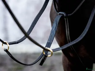 Övrig Hästutrustning hästutrustning Martingal Svart i Göteborg - Annons 17