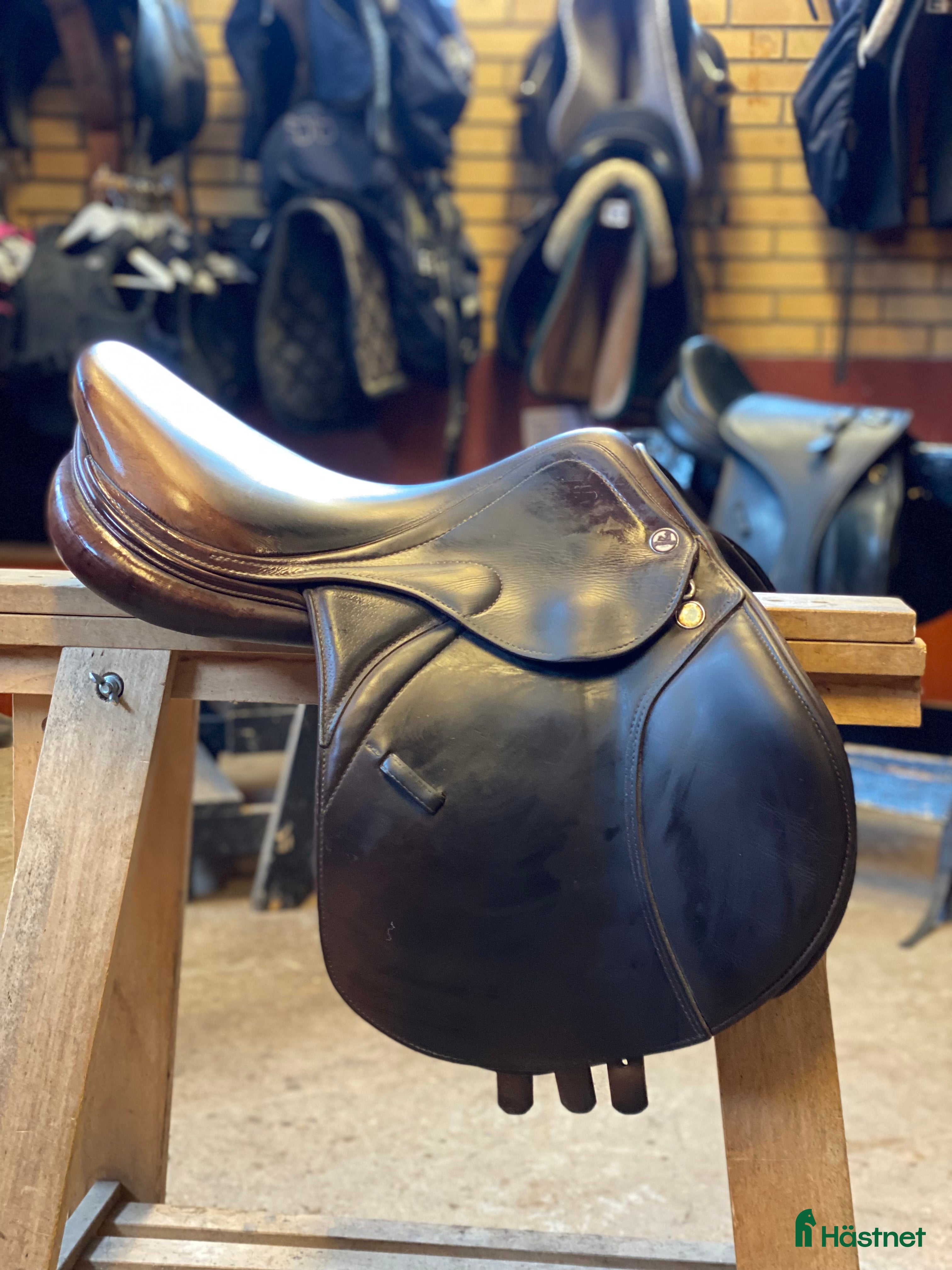 Sadlar hästutrustning Prestige Meredith  - Annons 13