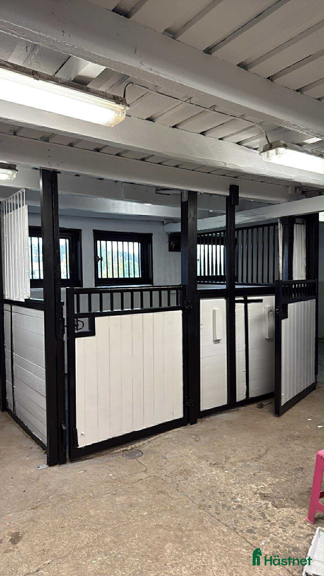  stallplats 🌾Plats för islandshäst Åkersberga🌟 - Annons 2