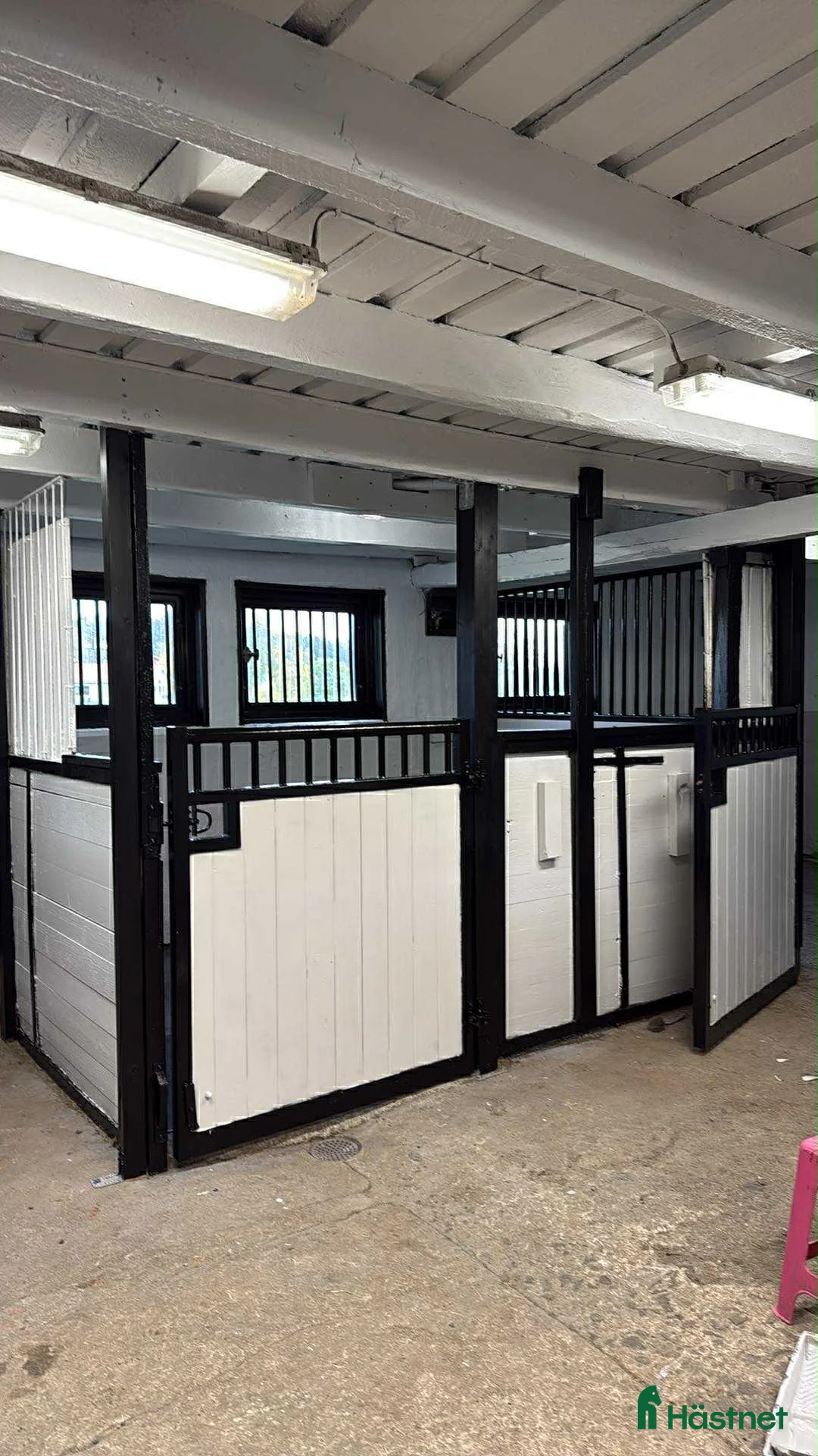  stallplats finnes: 🌾Plats för islandshäst Åkersberga🌟 - Annons 1