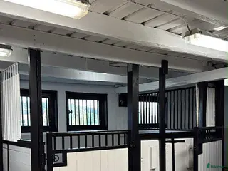 stallplats 🌾Plats för islandshäst Åkersberga🌟 - Annons 4