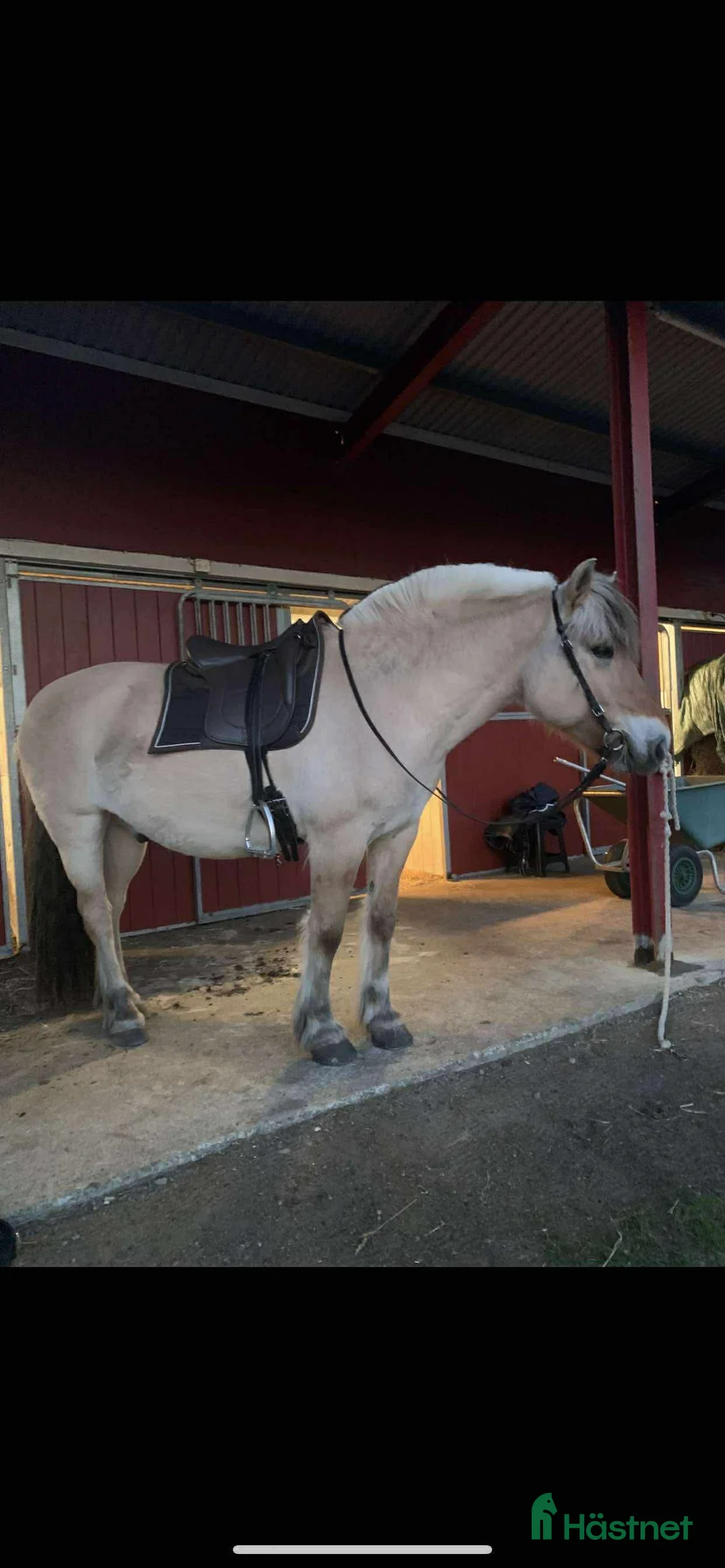 Sadlar hästutrustning till salu: Garrido Hybrid barbackapad - Annons 1