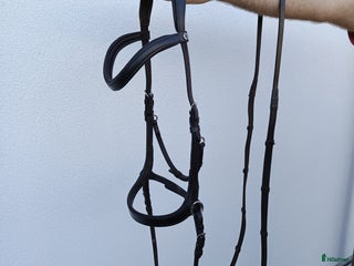 Träns hästutrustning till salu: Bettlöst träns nyskick i Södra Sandby - Annons 3