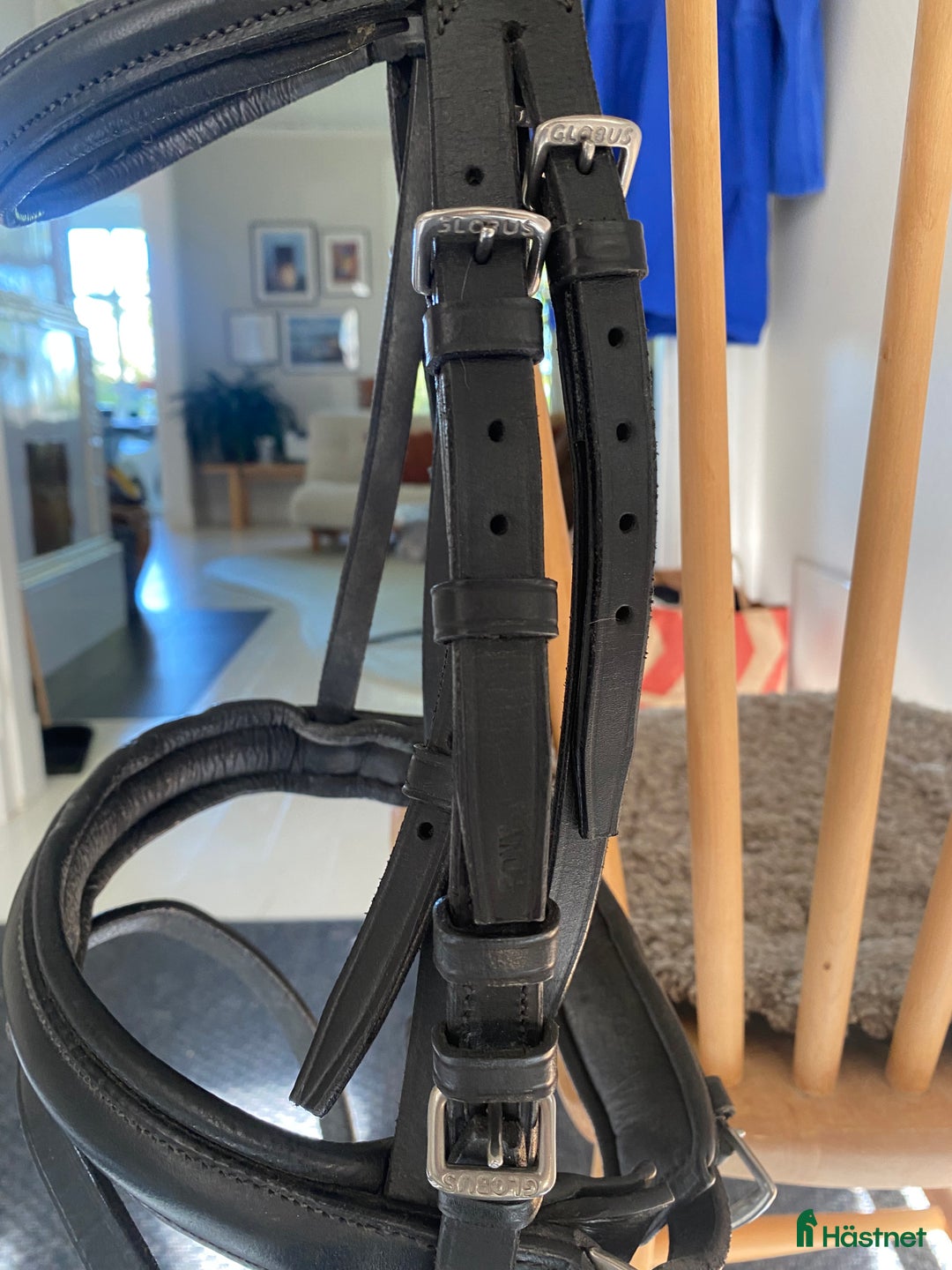 Träns hästutrustning till salu: Helt oanvänt ponny träns i Lerum - Annons 3