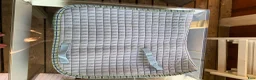 Schabrak & Vojlockar hästutrustning till salu: Ljusblått schabrak strl full  - Annons 2