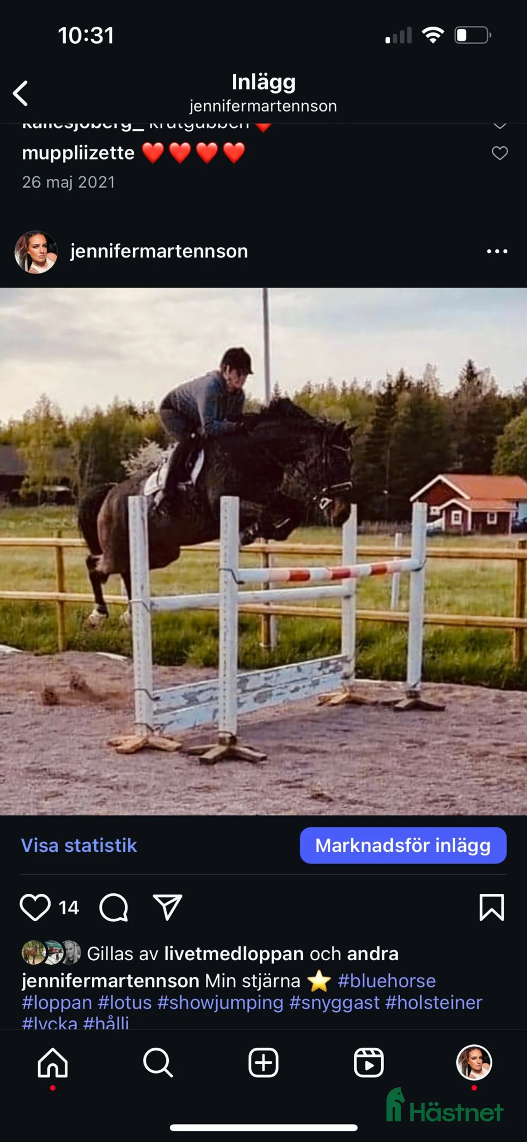 Fälttävlan hästar till salu: Min stjärna  - Annons 1