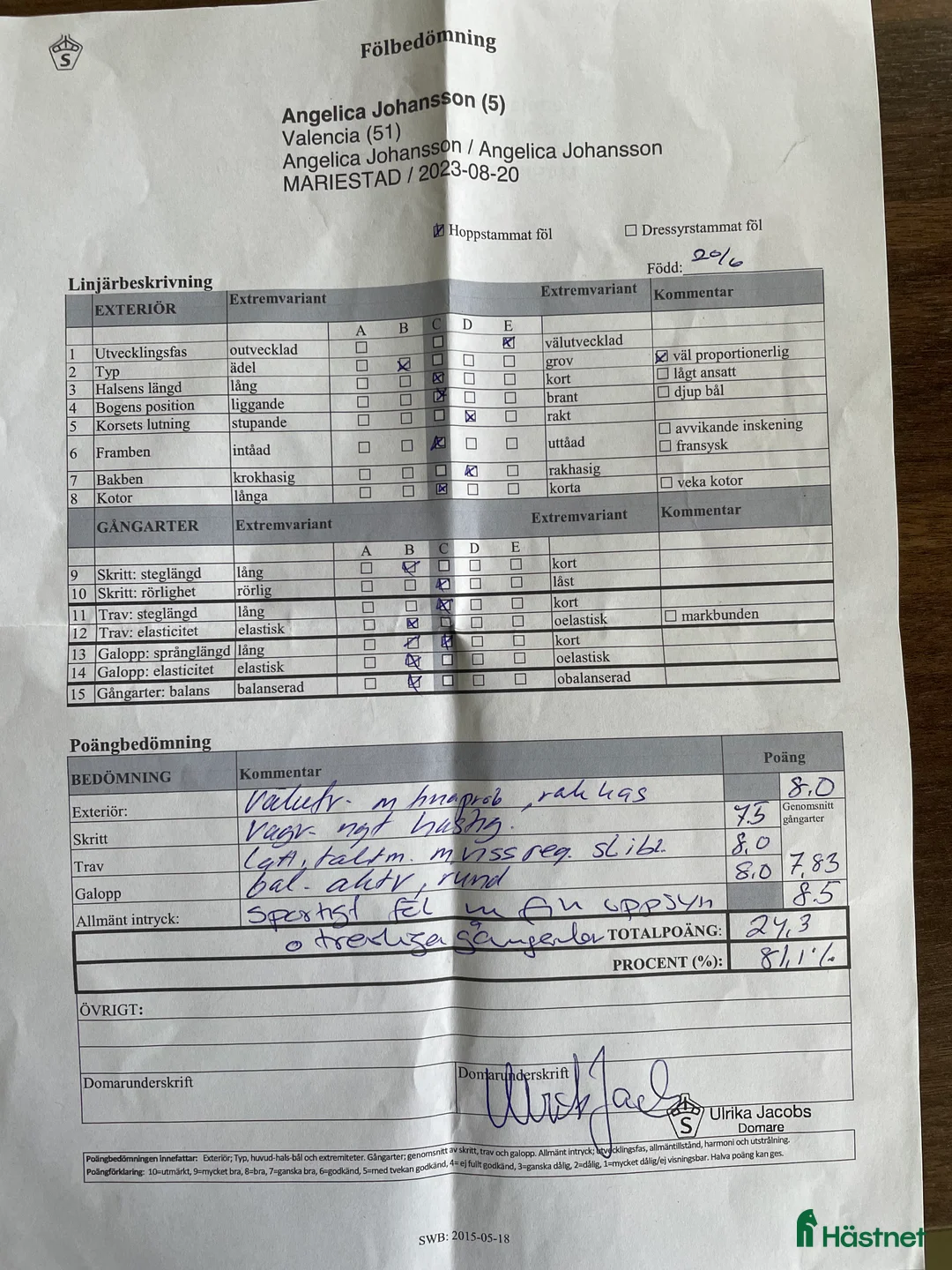 Fälttävlan hästar till salu: Trevlig unghäst till dressyr eller fälttävlan.  - Annons 2