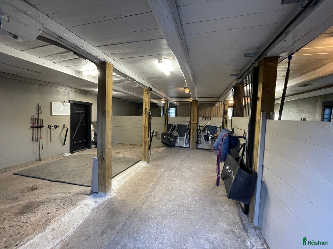 Allround hästar sökes: Söker en bästa vän<3 i Norrtälje - Annons 4