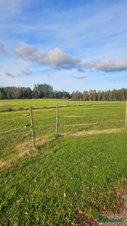 stallplats Ledig stallplats på mysig gård i Ljungskile - Annons 6