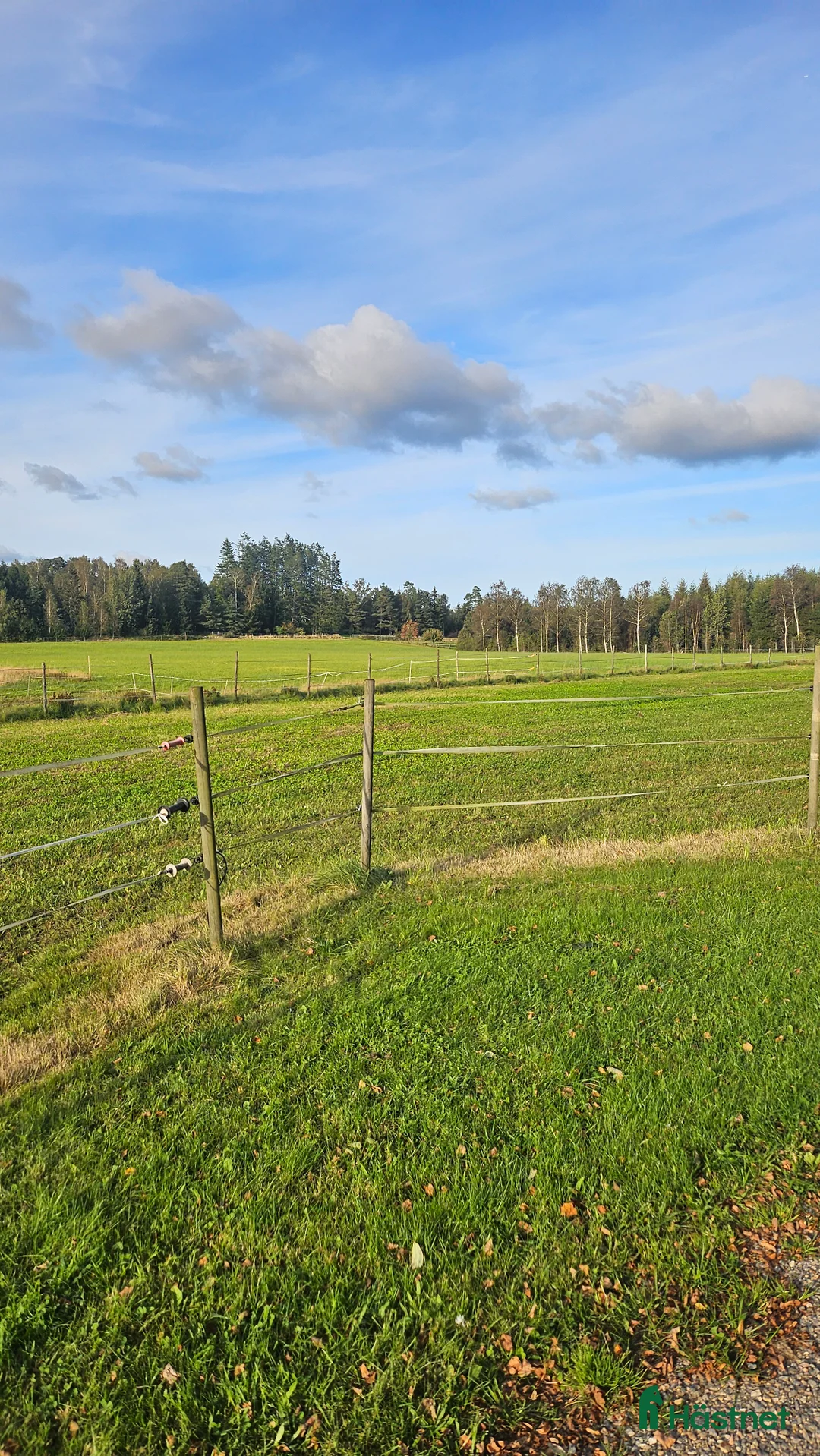  stallplats finnes: Lediga stallplatser på mysig gård nära Backamo i Ljungskile - Annons 2