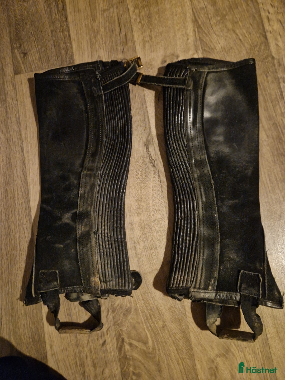 Övrig Ryttarutrustning ryttarutrustning till salu: shortchaps i Hallstahammar - Annons 2
