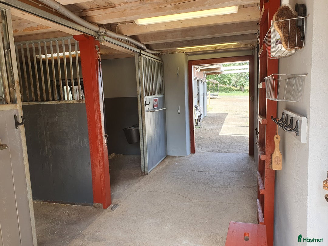  stallplats finnes: Box utanför Falköping för snäll häst och ägare i Falköping - Annons 1