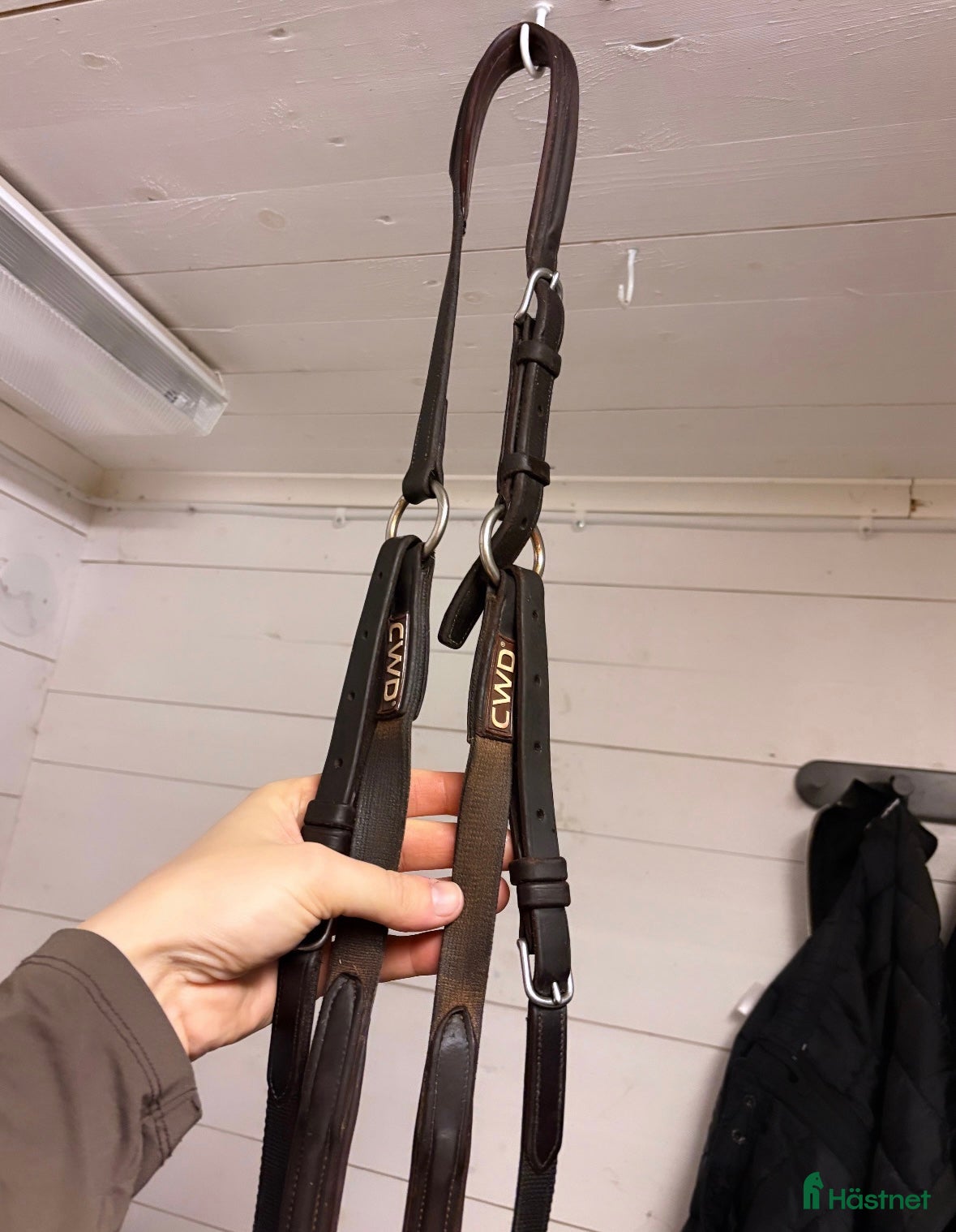 Övrig Hästutrustning hästutrustning CWD förbygel i Sigtuna - Annons 4