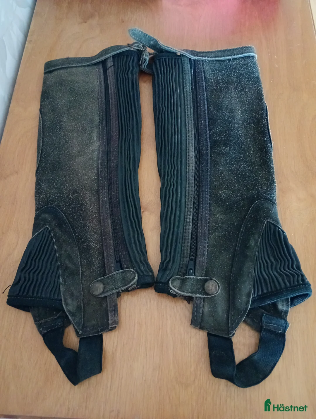 Övrig Ryttarutrustning ryttarutrustning till salu: Short chaps  - Annons 1