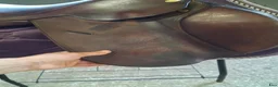 Sadlar hästutrustning till salu: Santa Cruz Celine 16" - Annons 6