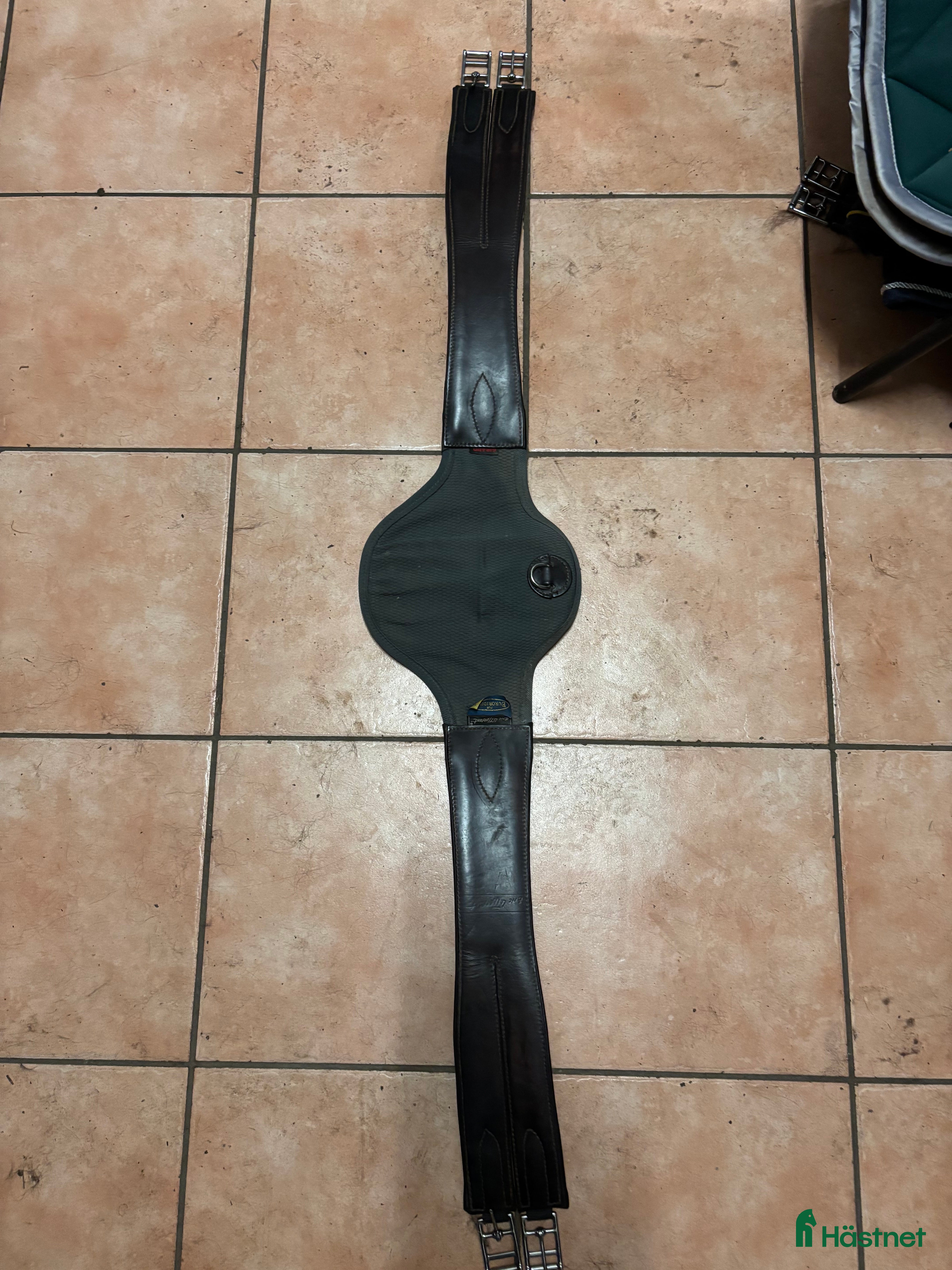 Sadeltillbehör hästutrustning ELT sadelgjord  - Annons 1