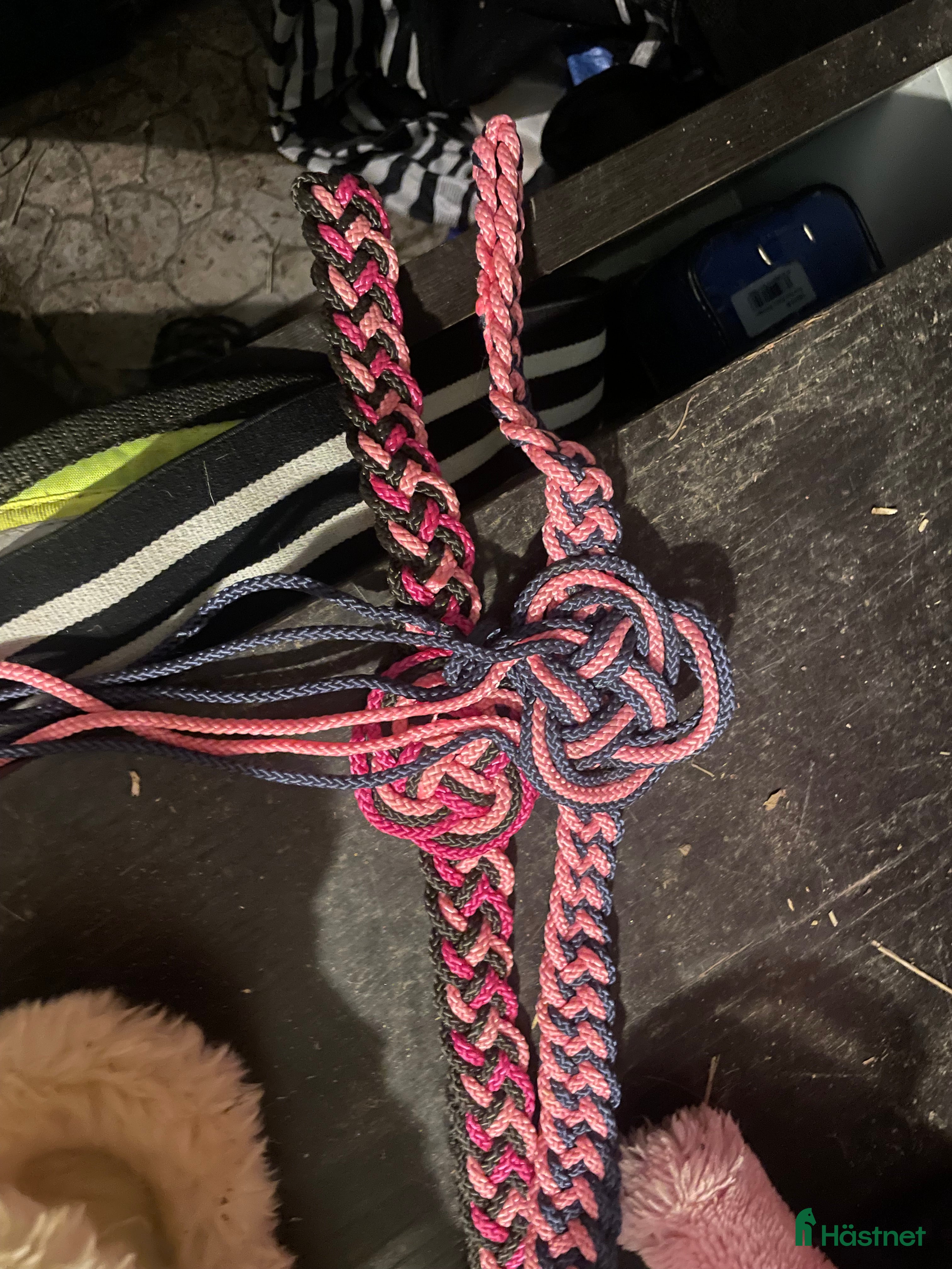 Övrig Hästutrustning hästutrustning till salu: Flätade pannband  i Sjuntorp - Annons 19