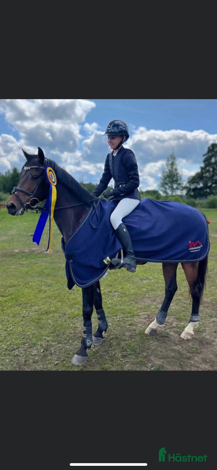  hästar Sportig C-ponny i Hallstahammar - Annons 1