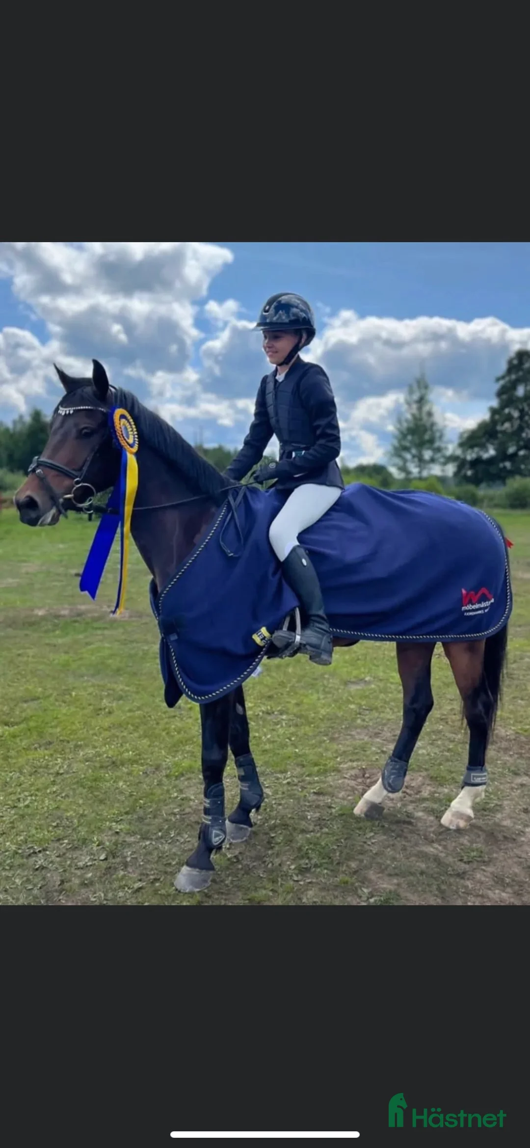 Hoppning hästar till salu: Sportig C-ponny i Hallstahammar - Annons 1