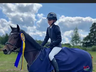 hästar Sportig C-ponny i Hallstahammar - Annons 1