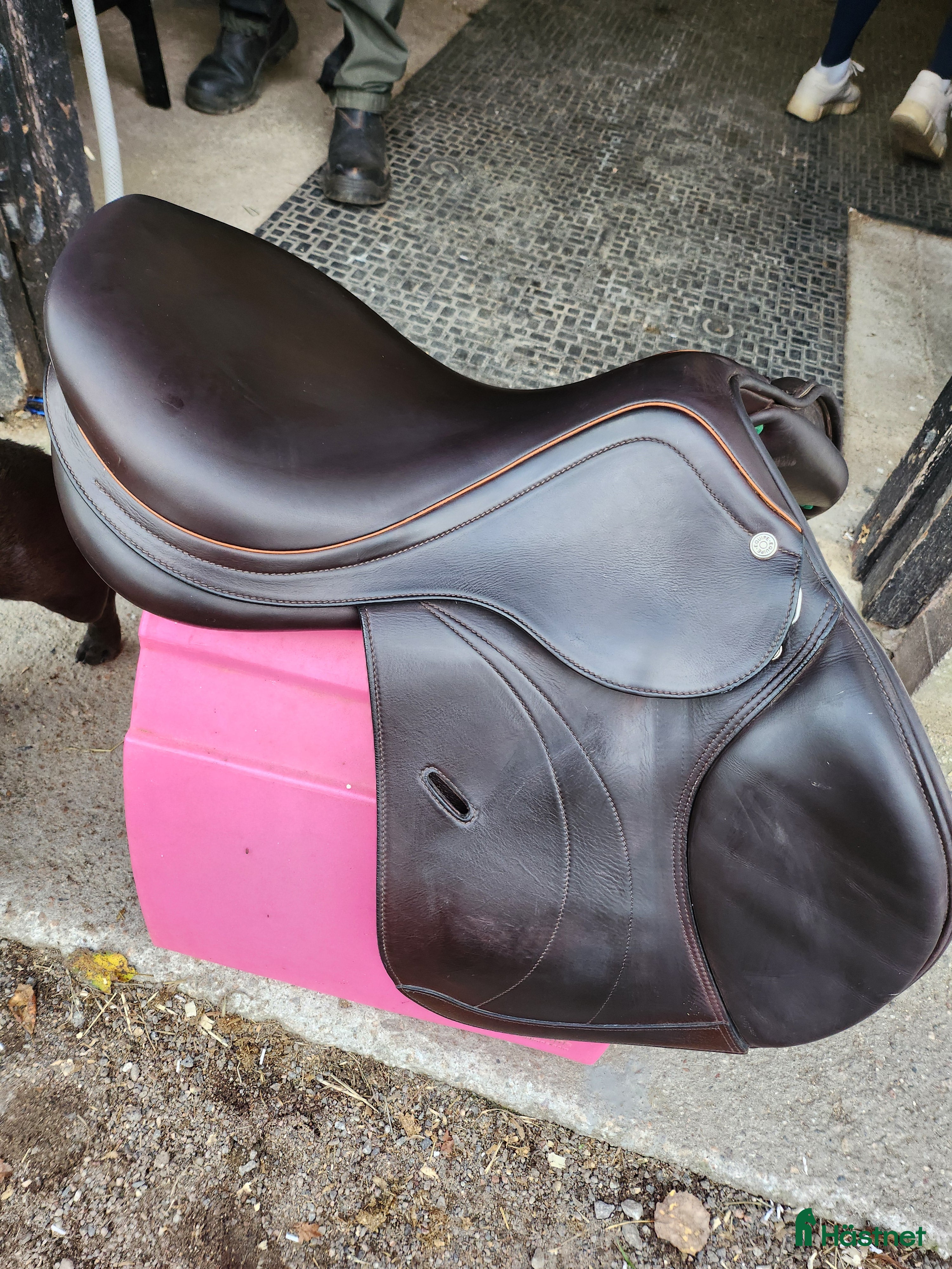 Sadlar hästutrustning till salu: Equipe 16,5 i Vislanda - Annons 4