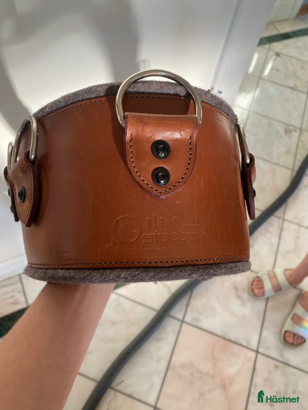 Övrig Hästutrustning hästutrustning till salu: Stubben Tömkörningsgjord - Annons 2