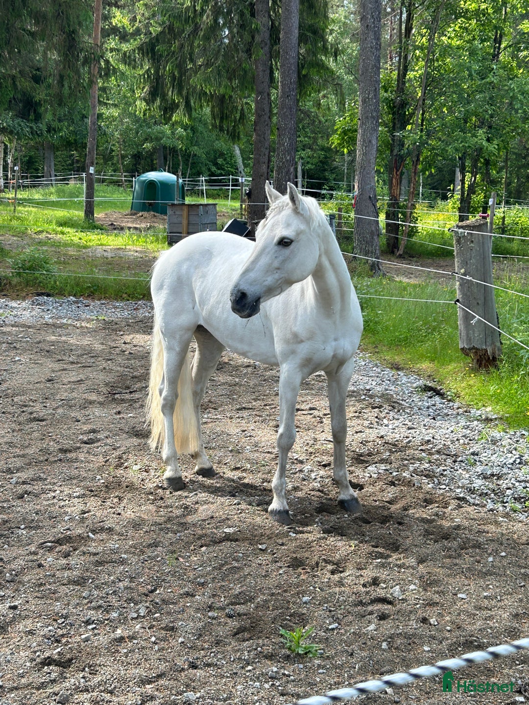 Galleribild {{count}}