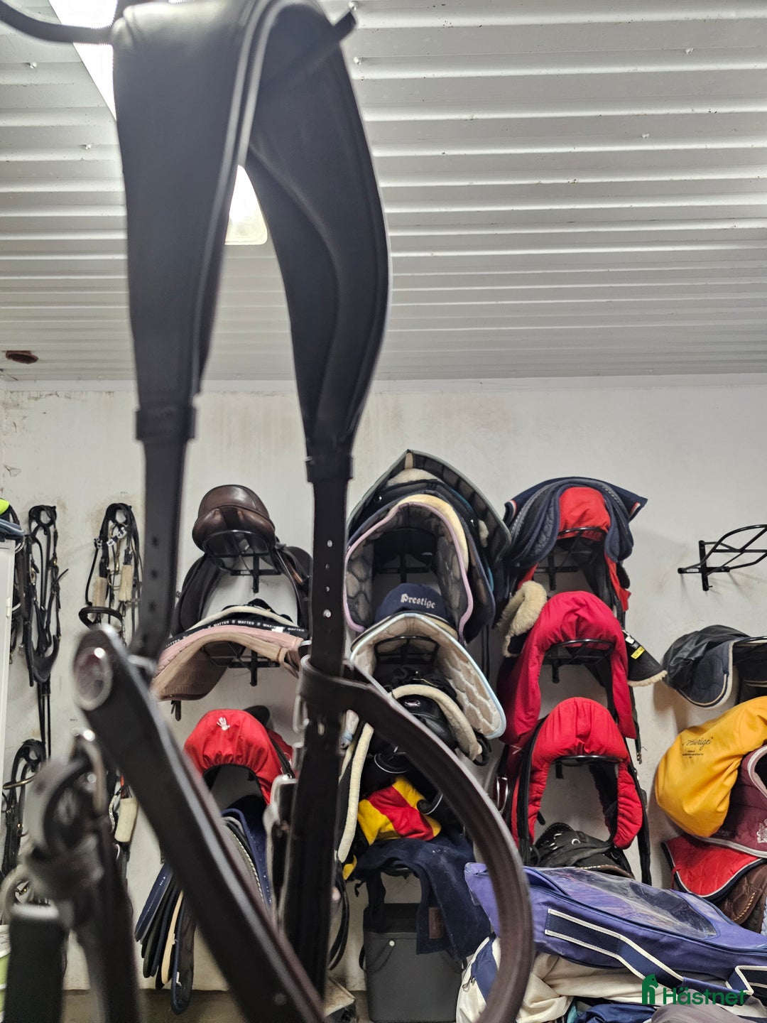 Träns hästutrustning till salu: Fint begagnat King Edward träns i brunt i Harplinge - Annons 2