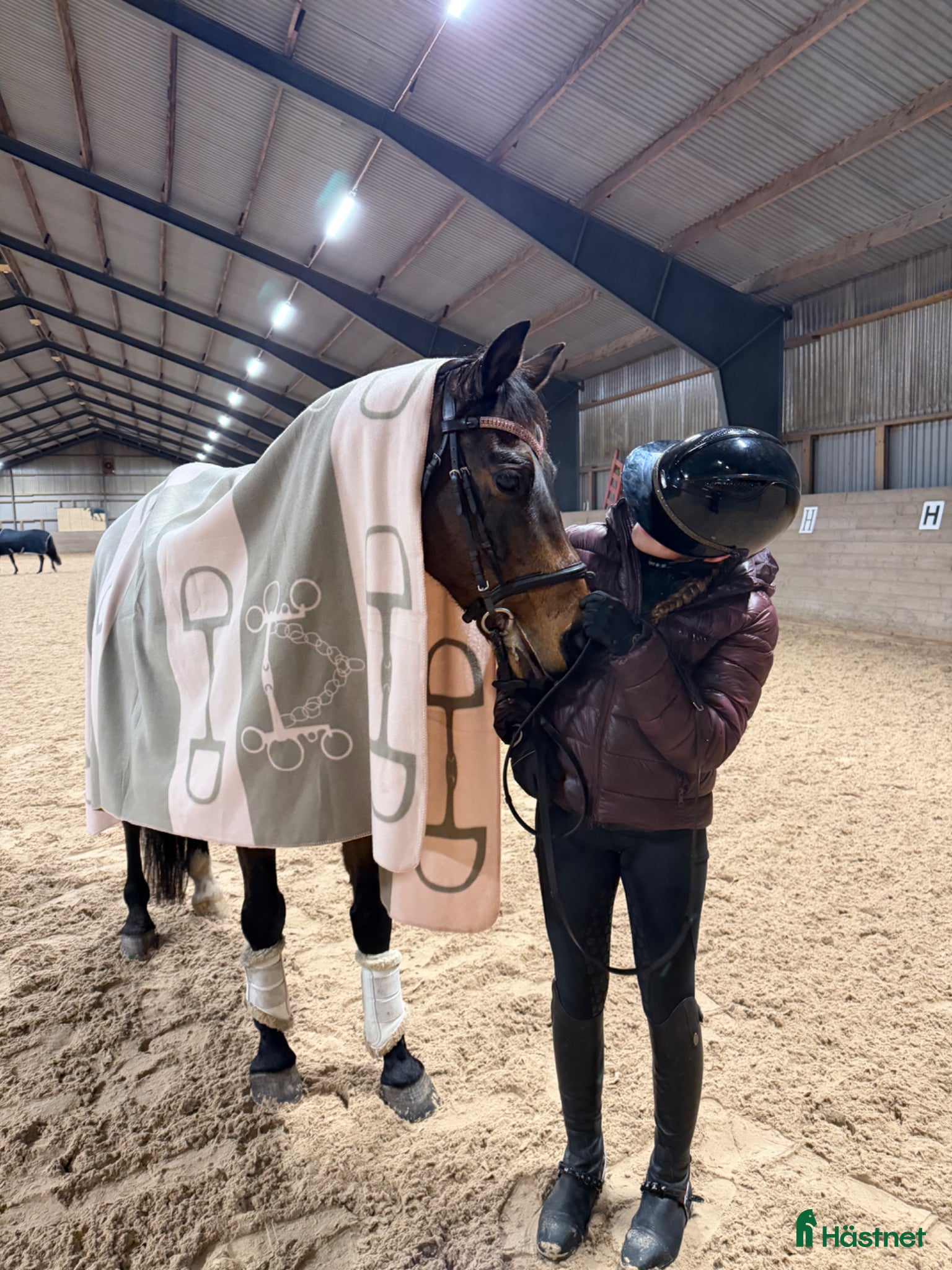  hästar Söker dressyr ungponny 🦄 - Annons 1